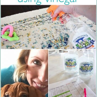 5 Cleaning Tips for New Puppy Owners, using Vinegar