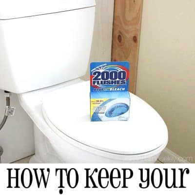 An Easy Toilet Cleaning Solution for a Crazy Busy Season