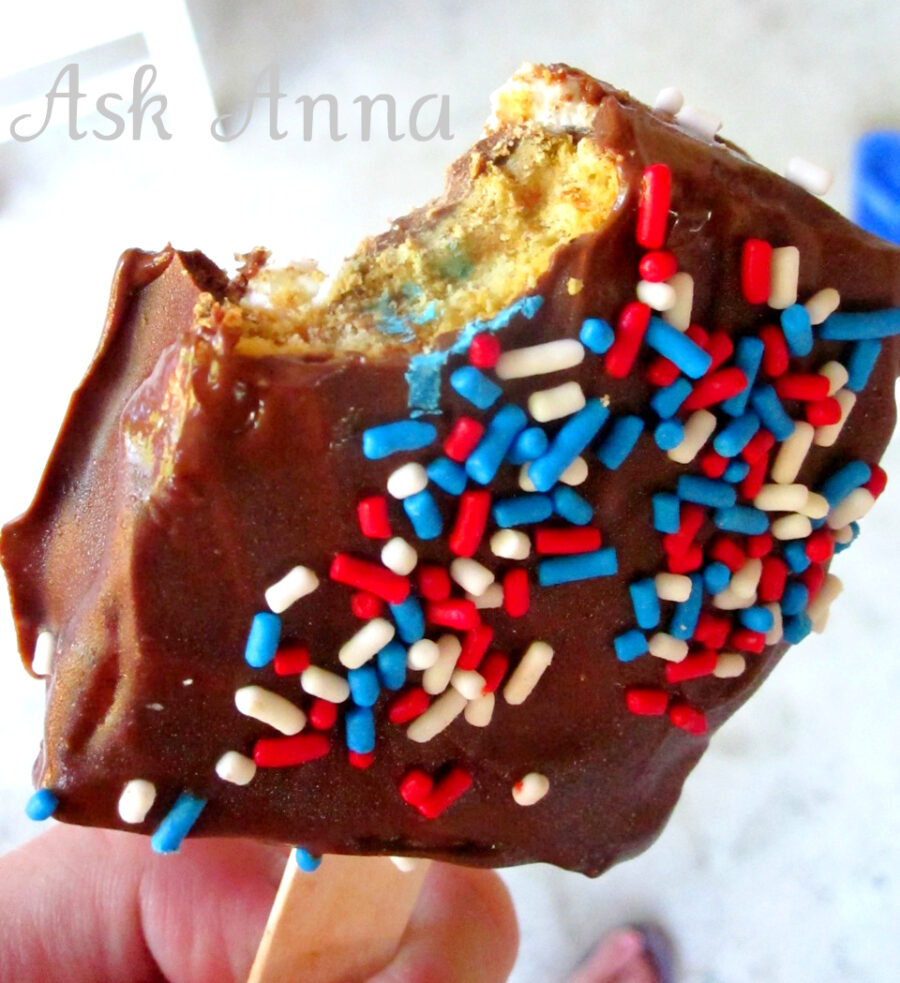 Chocolate covered S'mores | Ask Anna