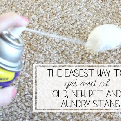 How to get Stains out of Carpet (old, new & pet stains!)
